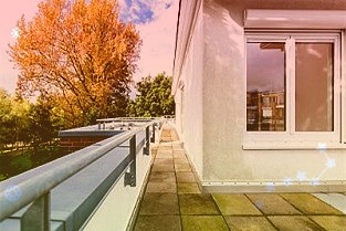 节前效应显现！两市股指缩量震荡，资金回流新能源板块